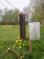 Kleefval - UITVERKOCHT